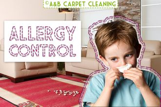 Allergy Control - Stable Brooklyn 11218