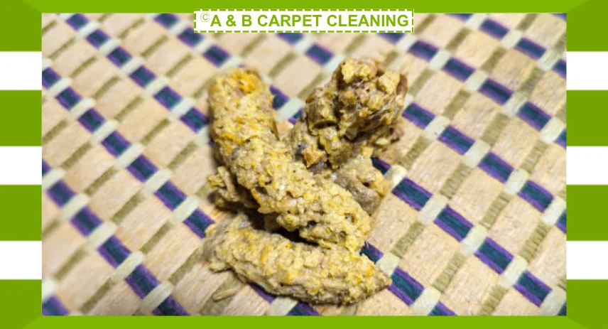 How Do You Clean Vomit From Carpet Without Spreading the Stain