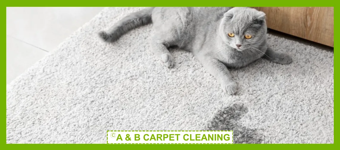Pet Stain and Odor Removal Image