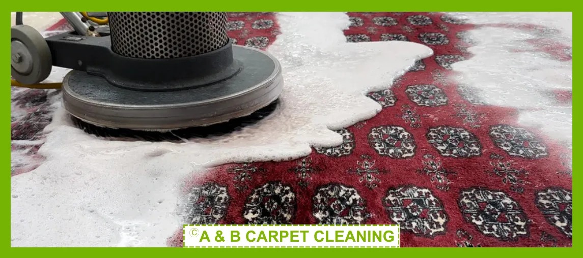 Area Rug Cleaning Image