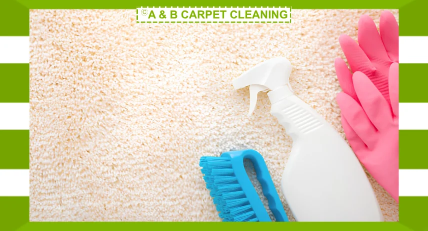 Carpet Care and Maintenance Tips for a Cleaner, Longer-Lasting Carpet