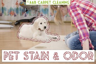 Pet Stain and Odor Removal 