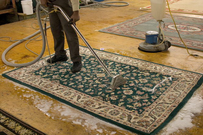 Area Rug Cleaning - Boerum Hill 11201